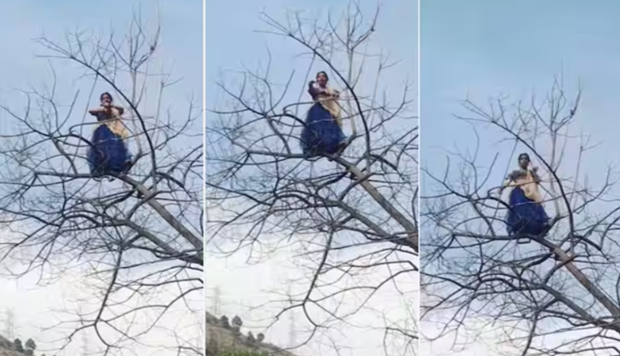 Girl Climbs Tree for Dance, What Happens Next Will Leave You Amazed